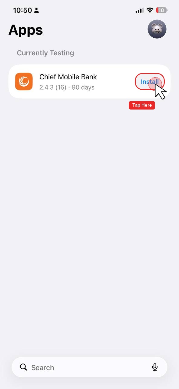 Step 3.3 - Tap Install